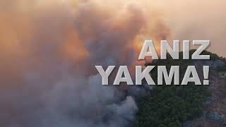 - Orman Yanarsa Hayat Kül Olur