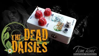 Tom Tone Dead Daisies Pedal (Doug Aldrich Tone) - The New Sun played by Rodrigo Cordeiro