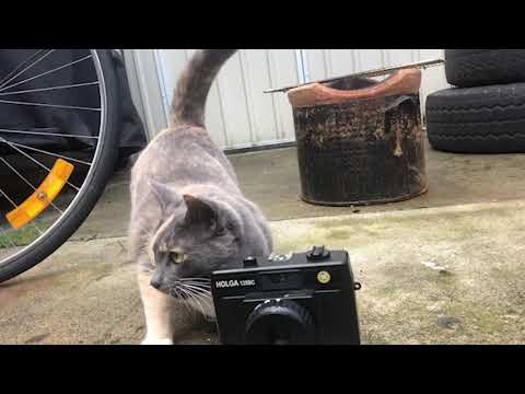 Classic Quip Video