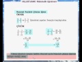7.Sınıf Matematik / Rasyonel Sayılar / Hulusi Ugar / Matematik Öğretmeni / Video Ders - Sinema Yorum