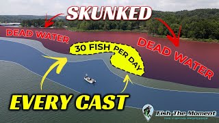 These Summer Ledge B Are Dumb And Ready To Eat Sidescan, Downscan. 2D Sonar Instruction