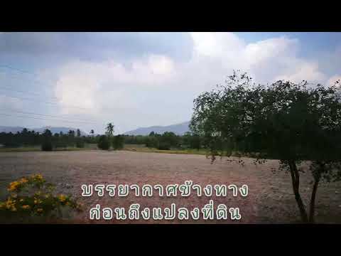 EEC ที่ดินศรีราชา 25 ที่ดิน283ตร.วา โซนเขาเขียวบางพระ ศรีราชา บรรยากาศดี อยู่ใจกลางแหล่งท่องเที่ยว