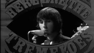 Watch Tremeloes I Shall Be Released video