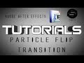 Tutorials - AAE Tutorial :: Particle Flip Transition