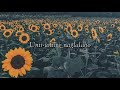 Bukod tangi // Unique (lyric video)