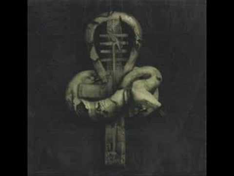 The Blessed Dead Video