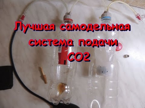 Как сделать систему подачи co2 в аквариуме Как сделать систему подачи co2 в аквариуме