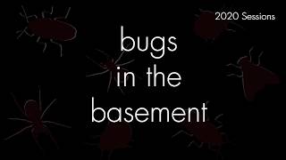 Bugs In The Basement - Galleria Mellonella aka The Greater Wax Moth