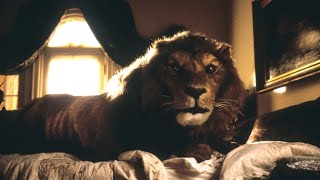 Jumanji 1995 Lion Screen Time