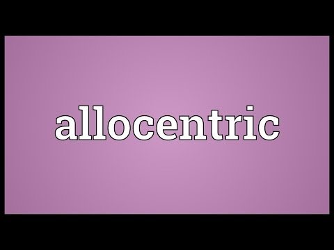 Header of Allocentric