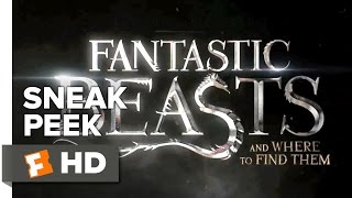 Movie Fantastic Beasts And Where To Find Them 2016 Hd Online