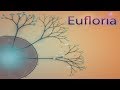 Eufloria