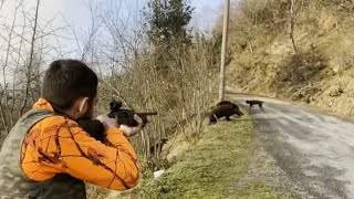 Karadeniz Ormanlarında Muhteşem Bir Av Wild Boar Hunting