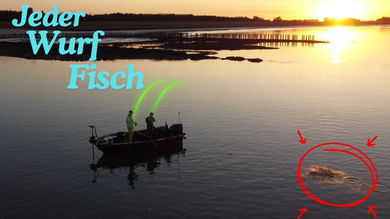 REKORDTAG am WASSER | So lief mein bester ANGELTAG 2025