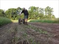 david bradley tractor