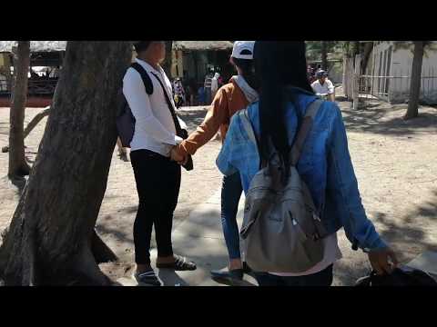 Đà Lạt thu nhỏ, Biển Ba Động Trà Vinh