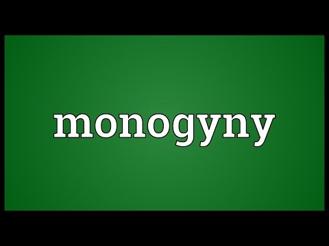 Header of monogyny
