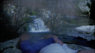 Blumi - The Dream