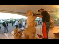 Final day of the ECHO Chain Saw Carving Championship- part 1 (7am - noon)