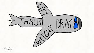 Smv How Do Airplanes Fly?