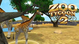 Zoo Ty 2 Reticulated Giraffe Breeding
