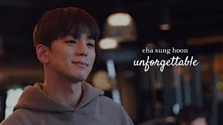 Cha Sung Hoon - Unforgettable Business Proposal
