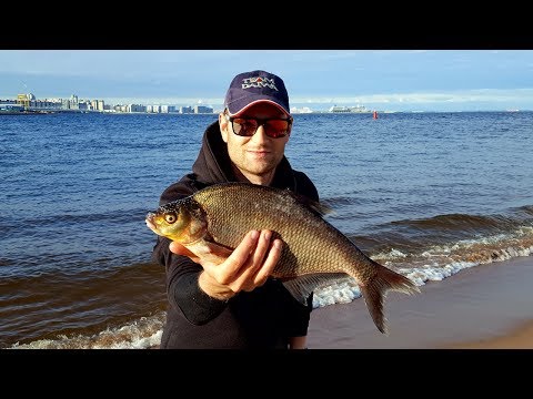 видео ловля леща на неве видео ловля леща на неве