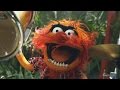 Jungle Boogie | The Muppets