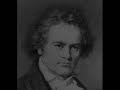 Watch: Violin Concerto In D, Op. - Larghetto Violin Concerto In D, Op. - Larghetto