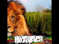 Botanica Reggae - Como una Hormiga bajo el Sol E.P