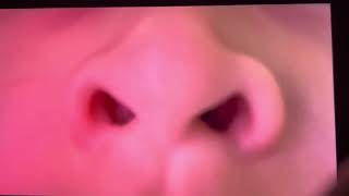 Bee Smart Baby Vocabulary Vol.1 Nose