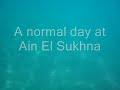Видео A normal day at Ain El Sokhna