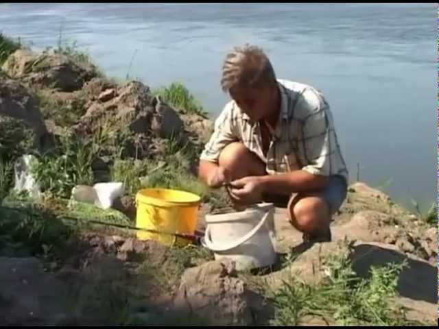 Донную снасть видео Донную снасть видео