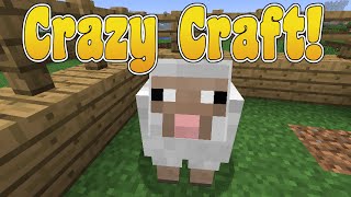 Sunday Morning Adventures! Crazy Craft! Ep.18 Andy The Sheep! | Amy Lee33