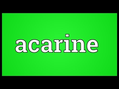 Header of acarine