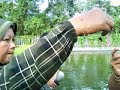 image Teknik Tanam Padi Pola Sri