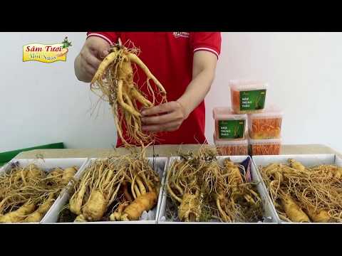 Bảng giá nhân sâm tươi Hàn Quốc hôm nay (06/03/2020)