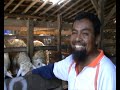 image Pembuatan Pakan Ternak Integrated Farming 1