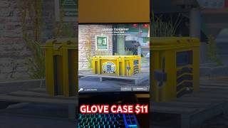 Opening An 11 Glove Case In Cs2