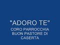 pastore 動画21a