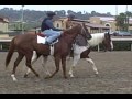 Blind Luck at Del Mar - July 29, 2011