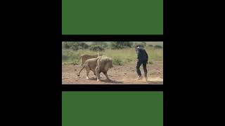 h5wDASInrWo Video Image
