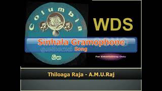 Thiloaga Raja - A.m.u.raj