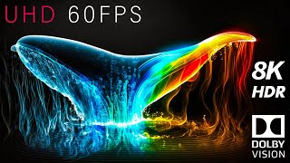 Whales 8K Hdr 60Fps Dolby Vision