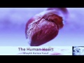 The Human Heart - Shaykh Hamza Yusuf