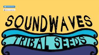 Watch Tribal Seeds Soundwaves feat Eric Rachmany Of Rebelution video