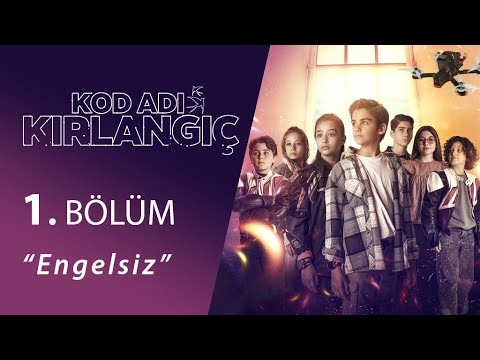 Kod Adı Kırlangıç