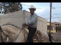 chon colorado el arrendador de caballos de tuxpan nayarit