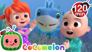 The Baby Shark Dance Cocomelon Animals For Kids Sing Along Learn About Animals
