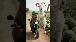Billa Bag Gya Animation Created Ai